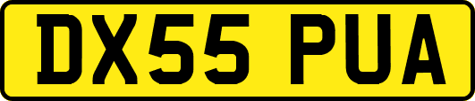 DX55PUA