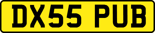 DX55PUB
