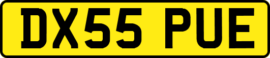 DX55PUE
