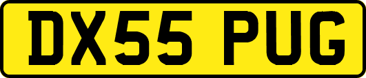 DX55PUG
