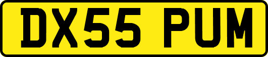 DX55PUM