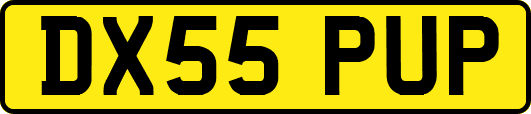 DX55PUP