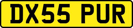 DX55PUR