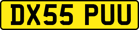 DX55PUU