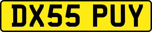 DX55PUY