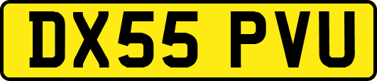 DX55PVU