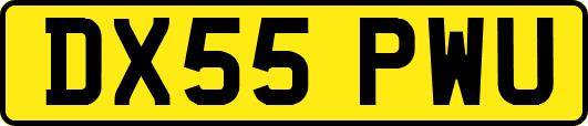 DX55PWU