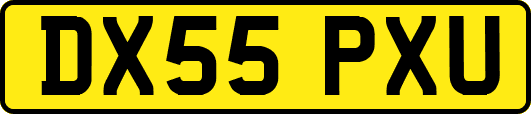 DX55PXU