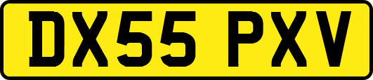 DX55PXV
