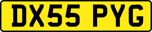 DX55PYG