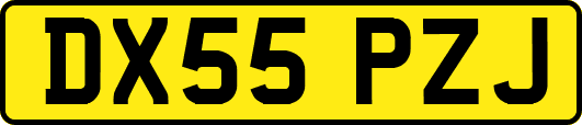 DX55PZJ
