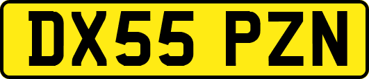 DX55PZN