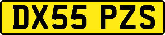 DX55PZS