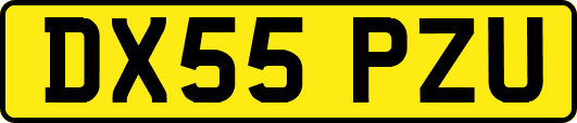 DX55PZU
