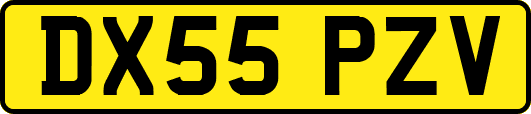 DX55PZV
