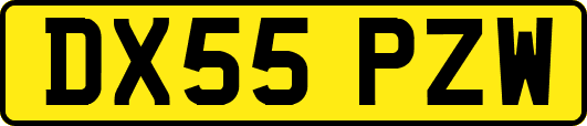 DX55PZW