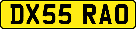 DX55RAO