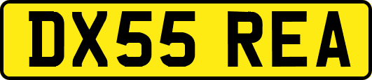 DX55REA