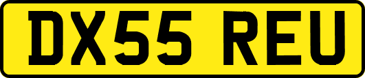 DX55REU