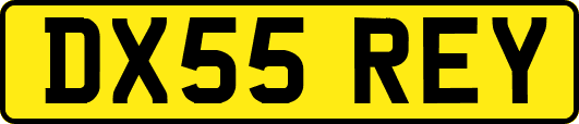 DX55REY