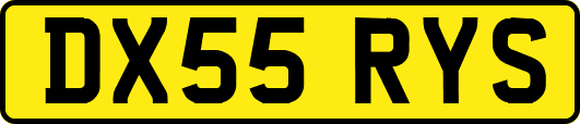 DX55RYS