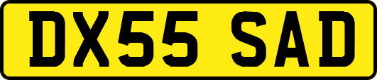 DX55SAD