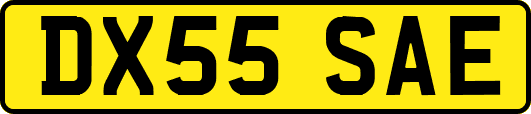 DX55SAE