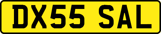 DX55SAL