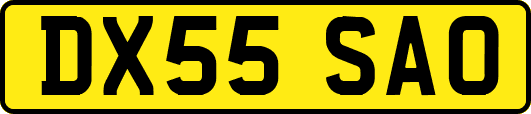 DX55SAO