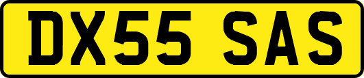 DX55SAS