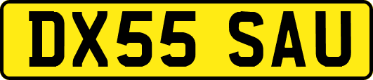 DX55SAU