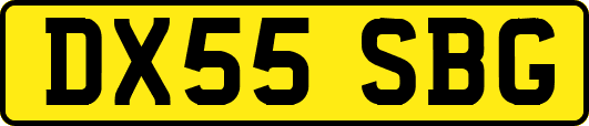 DX55SBG