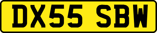 DX55SBW