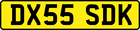 DX55SDK