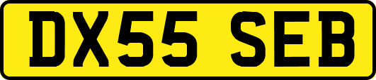 DX55SEB