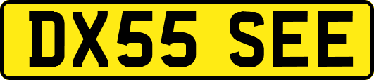DX55SEE