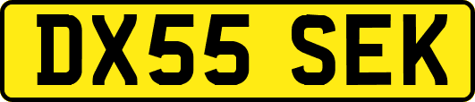 DX55SEK