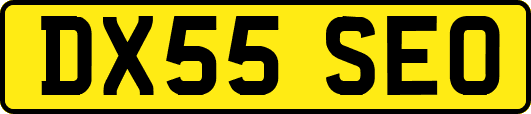 DX55SEO