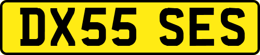 DX55SES