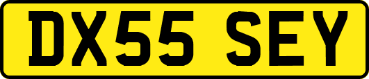 DX55SEY
