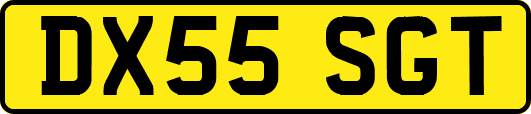 DX55SGT