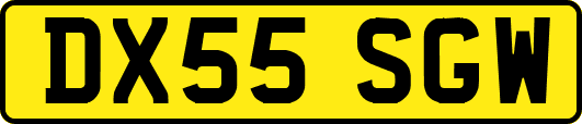 DX55SGW