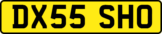 DX55SHO