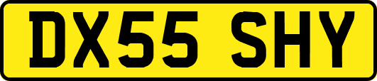 DX55SHY