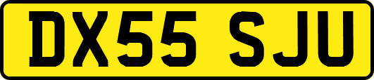 DX55SJU