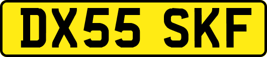 DX55SKF