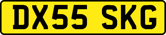 DX55SKG