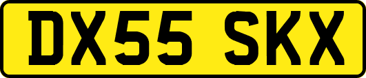 DX55SKX
