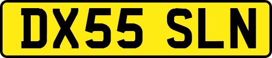 DX55SLN