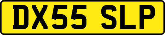 DX55SLP